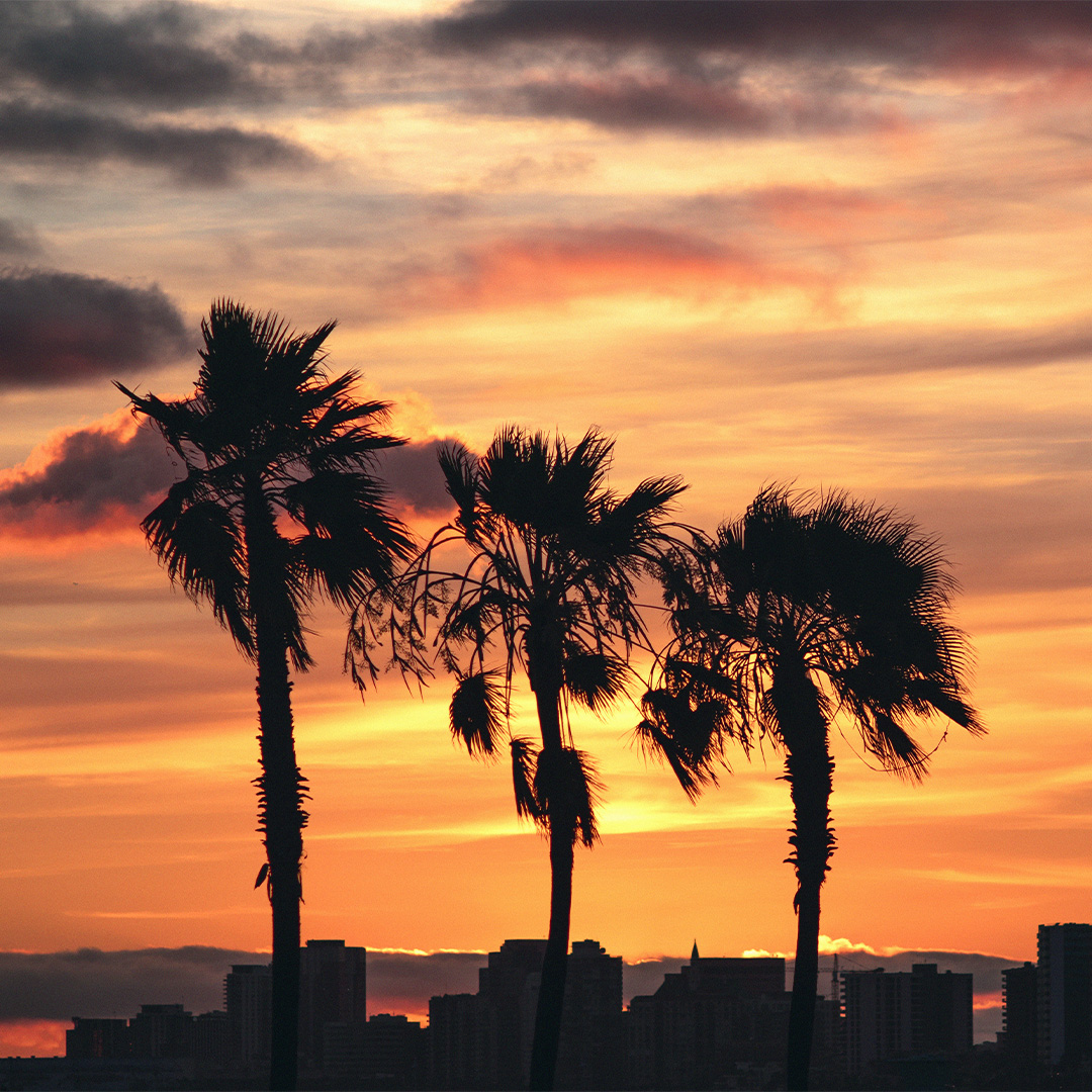 Long Beach California Sunset